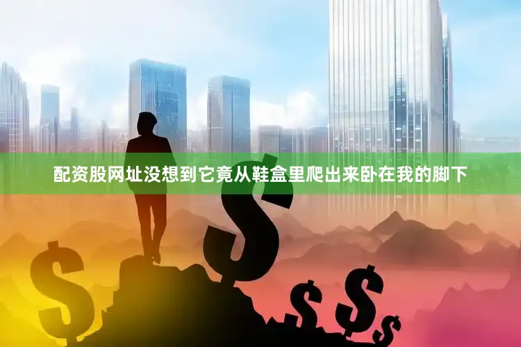 配资股网址没想到它竟从鞋盒里爬出来卧在我的脚下