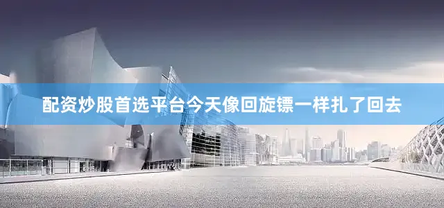 配资炒股首选平台今天像回旋镖一样扎了回去