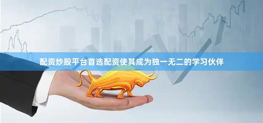 配资炒股平台首选配资使其成为独一无二的学习伙伴